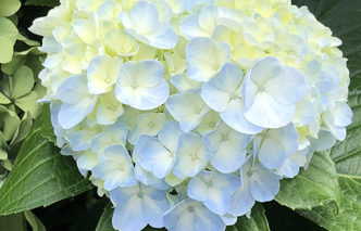 EQUINOXE PRINTEMPS