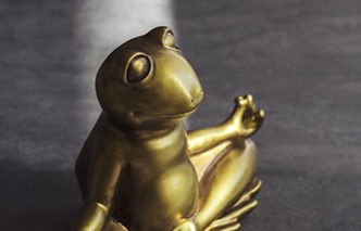 Yoga frog