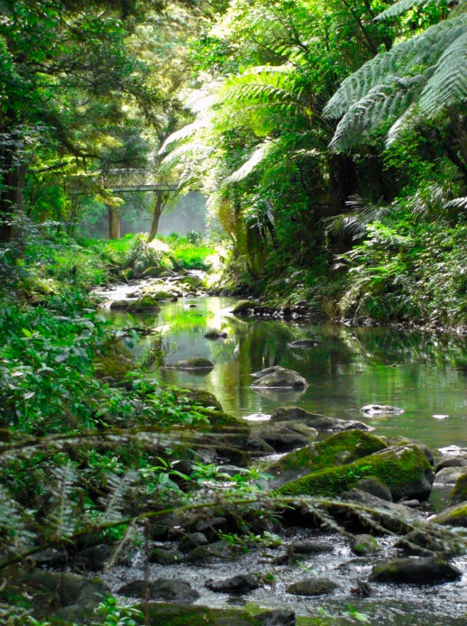 HABITAT