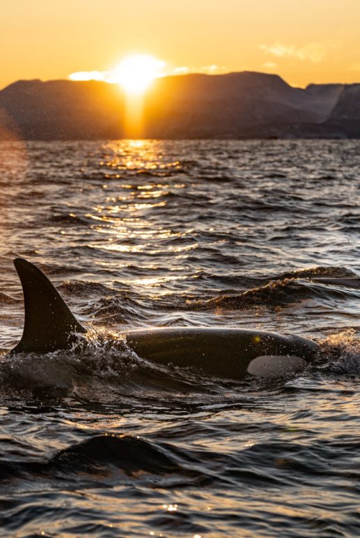 bart-maxbZW7MKs4-unsplash bart-maxbZW7MKs4-unsplash